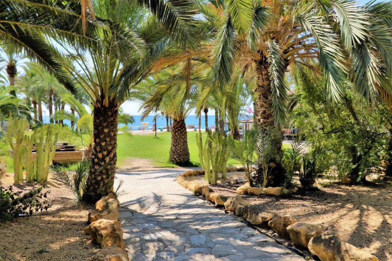 Eurotennis 4 Paradise Villajoyosa